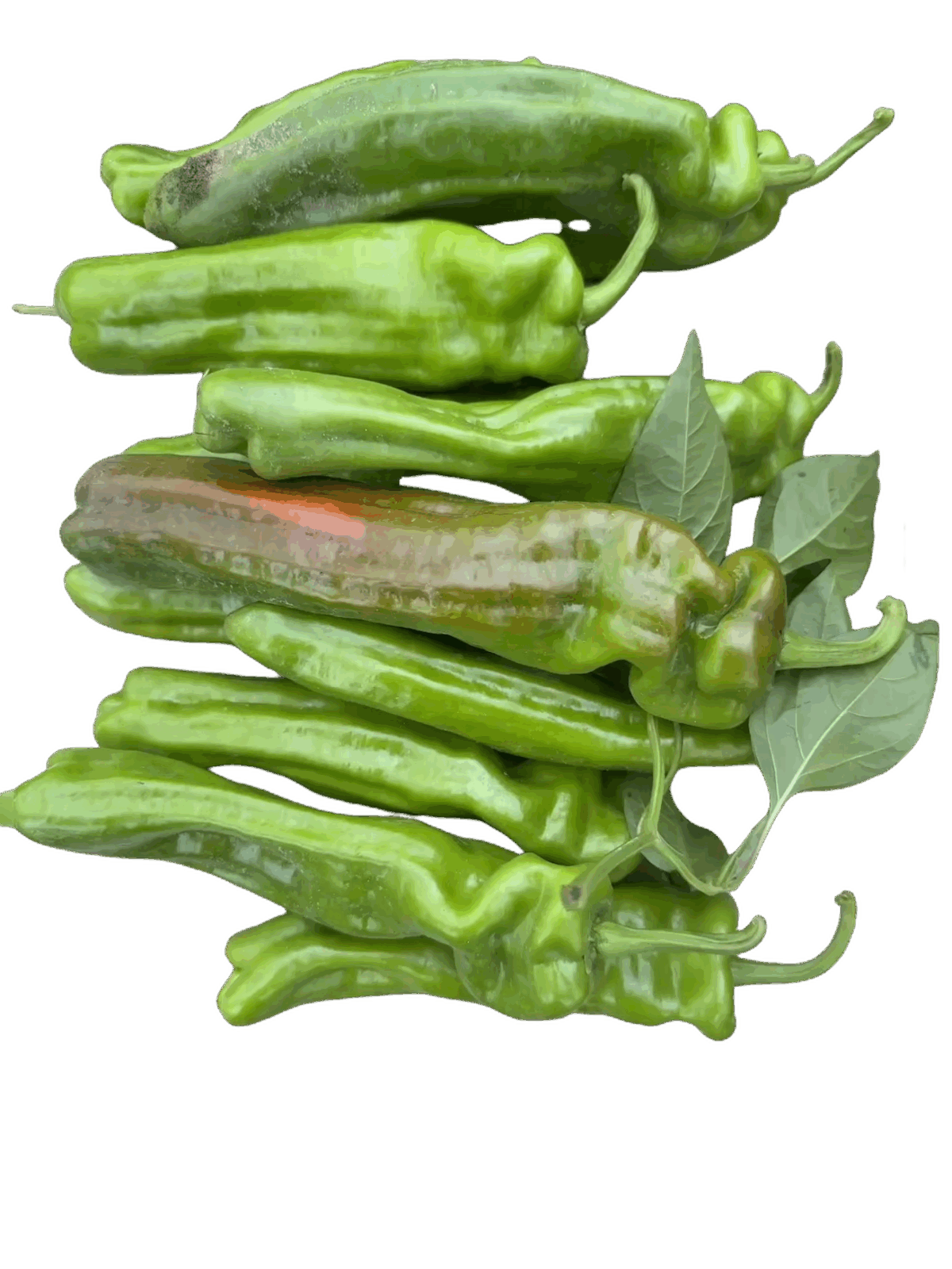 Green chili pepper - Image 1